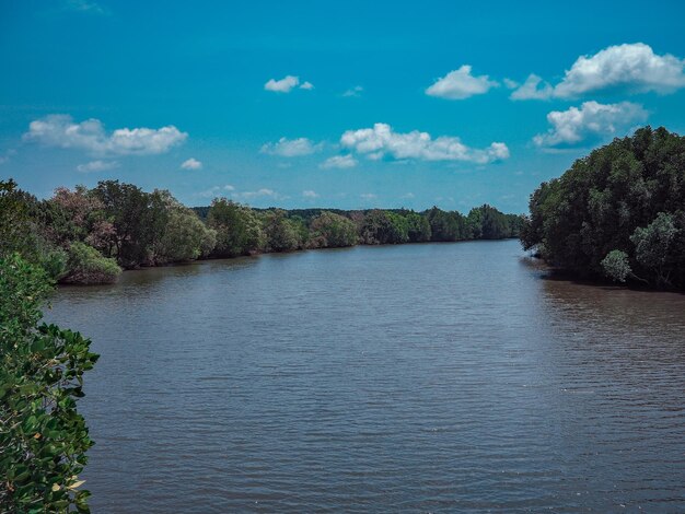 Scenic view of river against sky