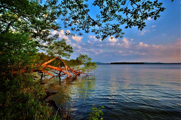 Foto vista panoramica del fiume contro il cielo