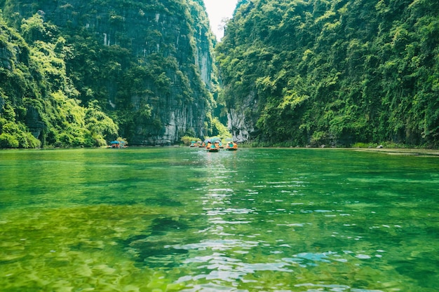 Foto la vista panoramica del fiume contro gli alberi