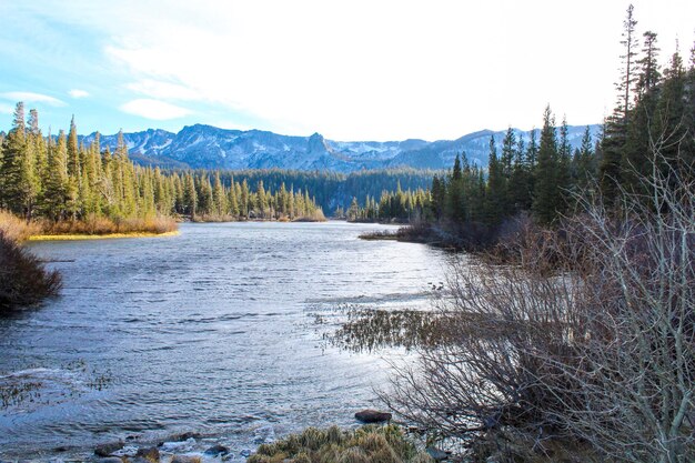 Photo scenic view of river amidst pine trees against sky