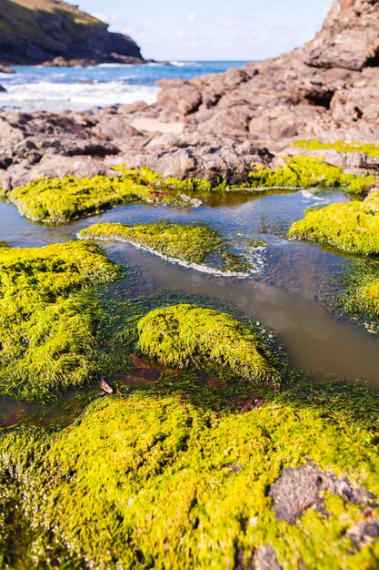 Scenic view of river amidst rocks