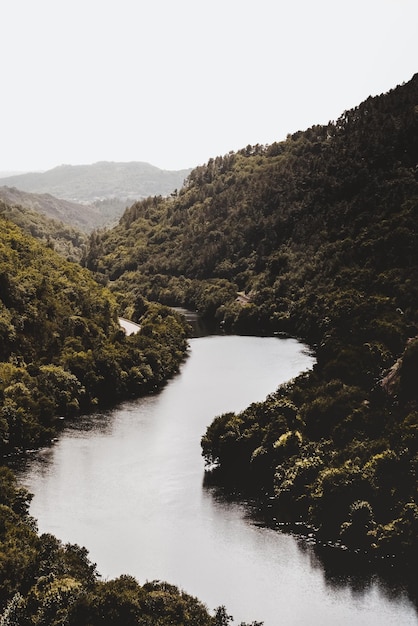 Foto vista panoramica del fiume in mezzo agli alberi contro un cielo limpido