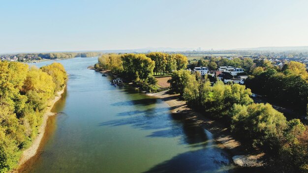 Scenic view of river amidst trees against clear sky