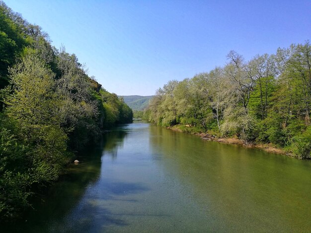 Photo scenic view of river amidst trees against clear sky