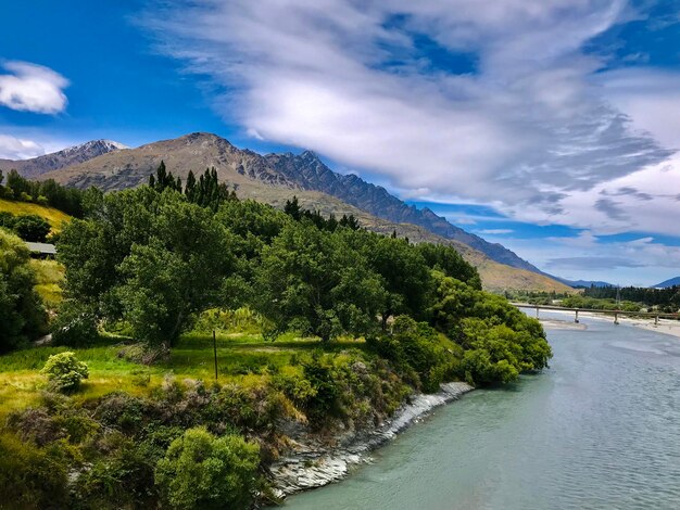 Scenic view of river amidst trees against sky