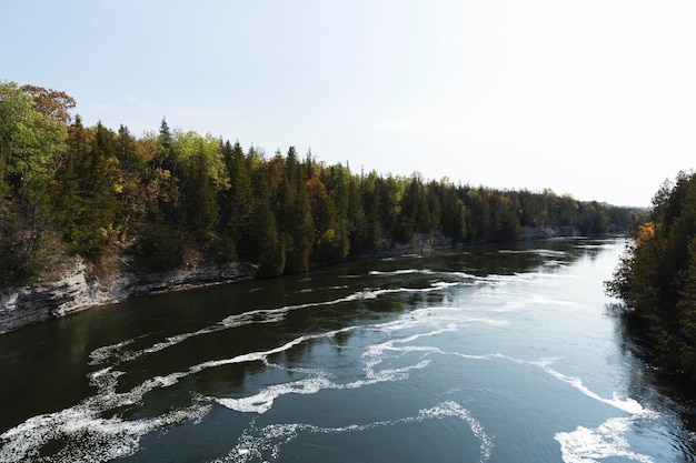 Photo scenic view of river amidst trees against sky