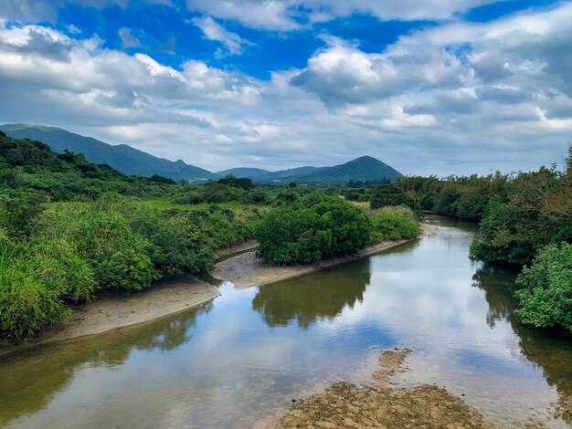 Scenic view of river amidst trees against sky