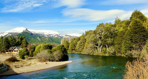 Scenic view of river amidst trees against sky