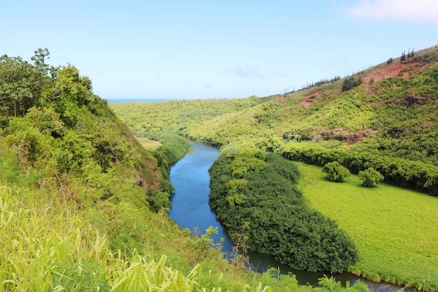 Scenic view of river amidst trees against sky