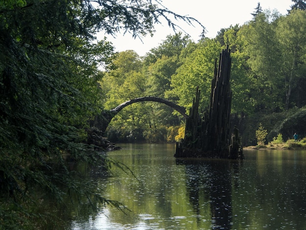 Foto vista panoramica del fiume in mezzo agli alberi contro il cielo