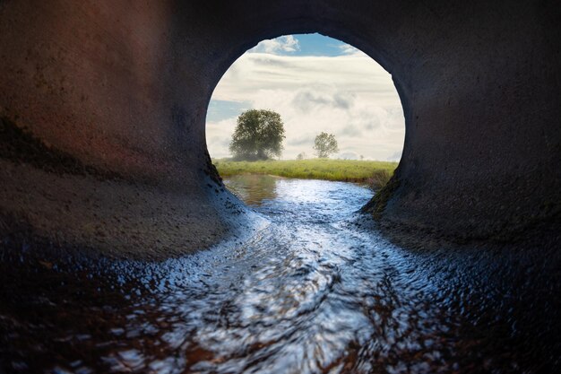 Foto vista panoramica del fiume in mezzo agli alberi contro il cielo