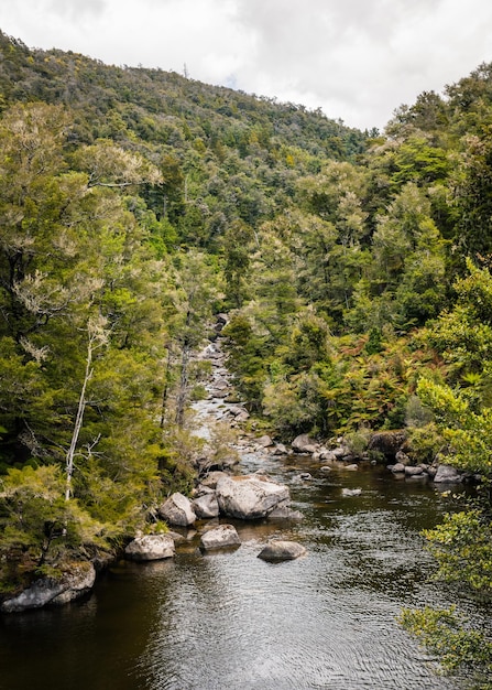 Photo scenic view of river amidst trees in forest