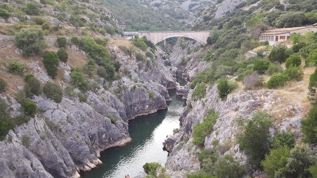 Foto vista panoramica del fiume tra alberi e montagne