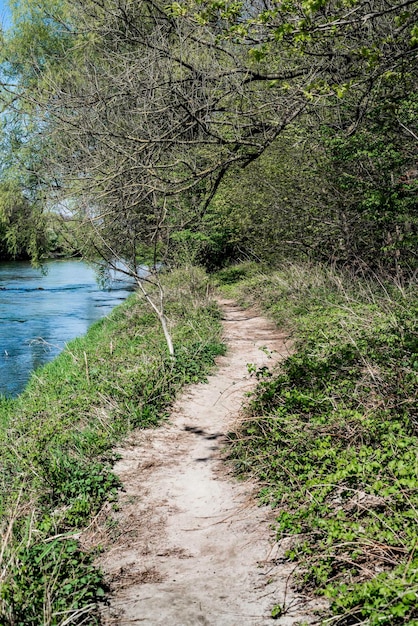 Photo scenic view of river amidst trees