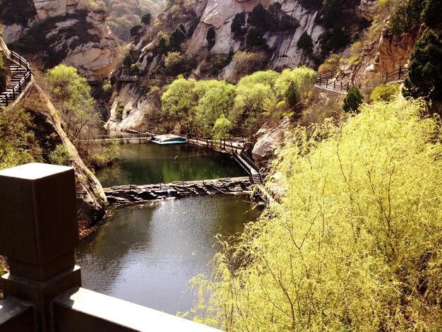 Photo scenic view of river amidst trees