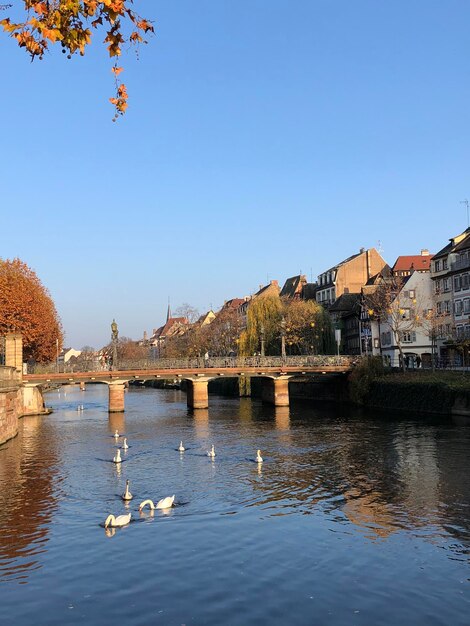 Scenic view of river by buildings against clear sky