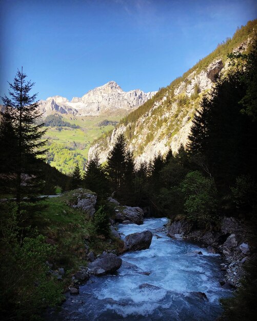 Foto vista panoramica del fiume dagli alberi contro il cielo