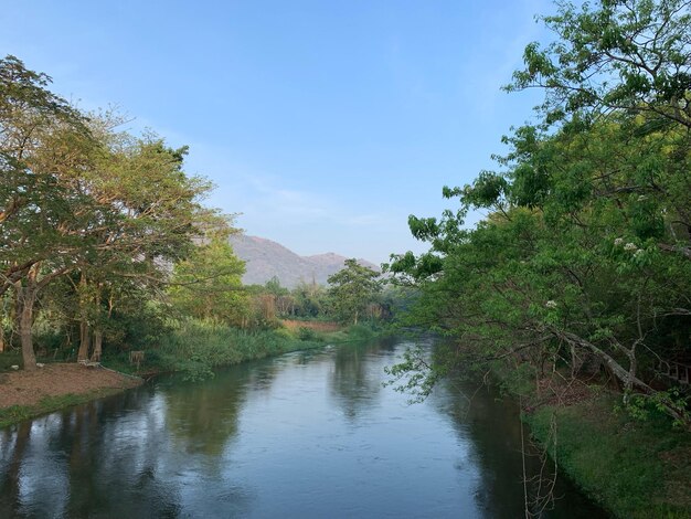 天空を背景に木々から見える川の景色