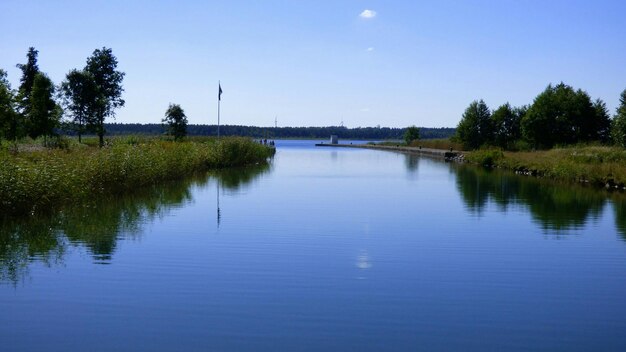 Scenic view of river by trees against sky