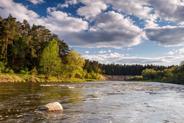 Photo scenic view of river by trees against sky