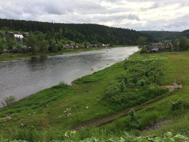 Scenic view of river by trees against sky