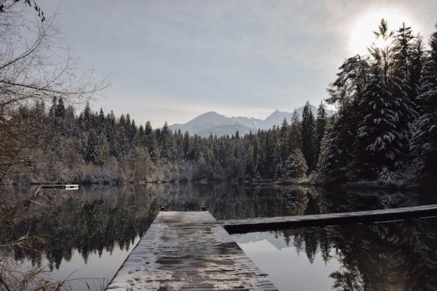 Foto vista panoramica del fiume dagli alberi contro il cielo