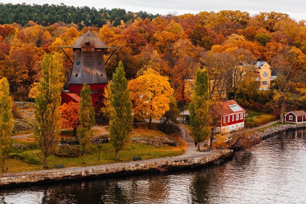 Scenic view of river by trees and plants during autumn