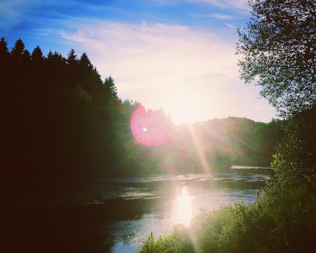 Foto vista panoramica del fiume dagli alberi in una giornata di sole