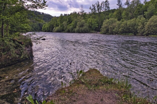 Photo scenic view of river flowing amidst trees in forest