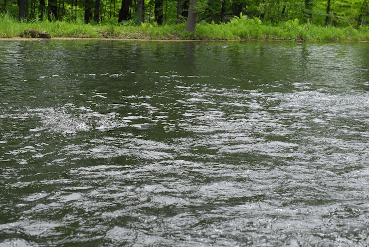 Photo scenic view of river flowing amidst trees