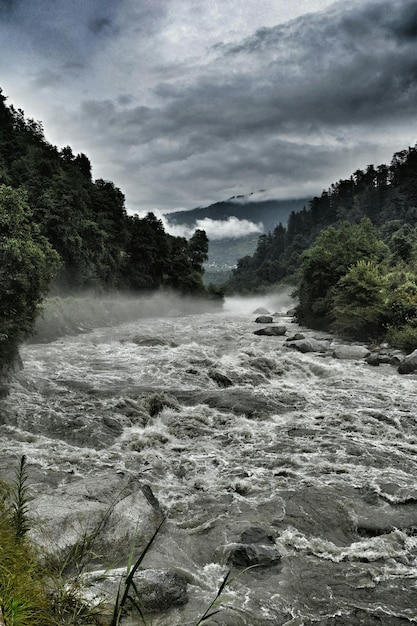 Foto vista panoramica del fiume che scorre nella foresta contro un cielo nuvoloso