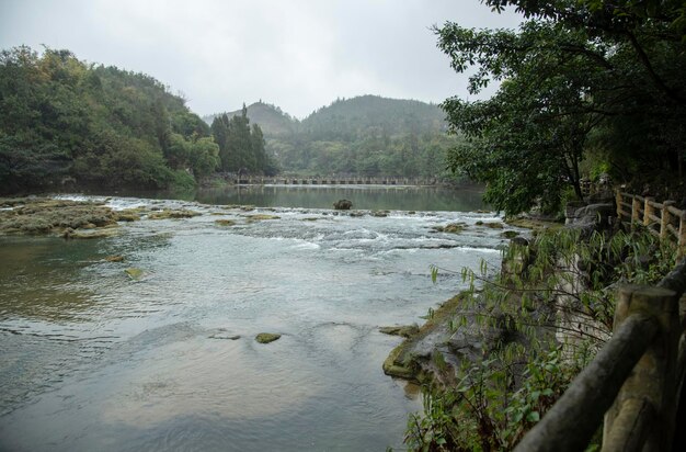 Scenic view of river flowing in forest against sky