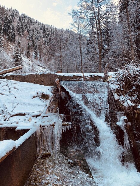 Scenic view of river flowing in forest during winter