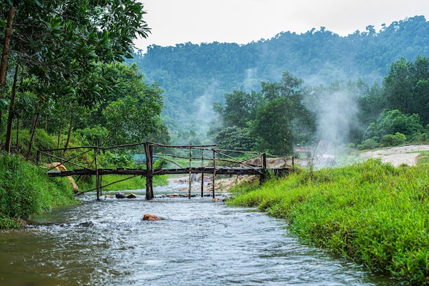 Foto la vista panoramica del fiume che scorre attraverso la foresta