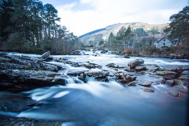 Photo scenic view of river flowing through forest