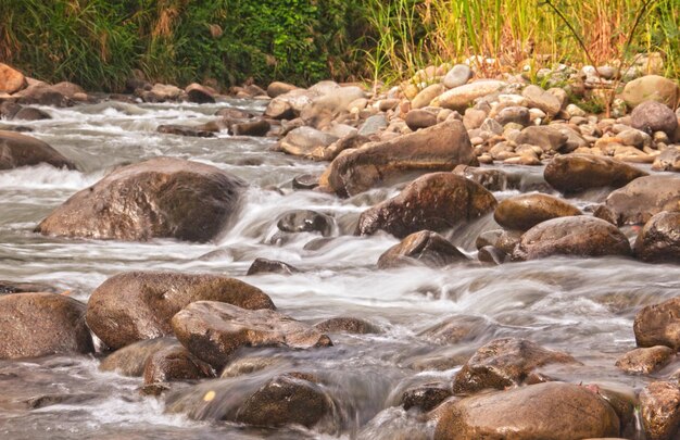 Photo scenic view of river flowing through rocks in forest