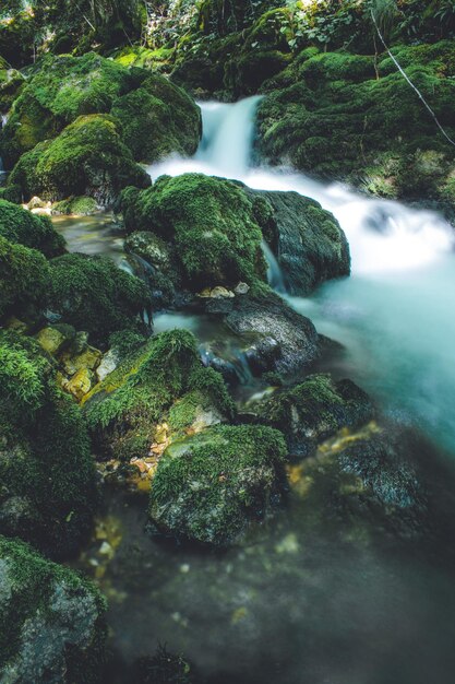 Foto la vista panoramica del fiume che scorre tra le rocce