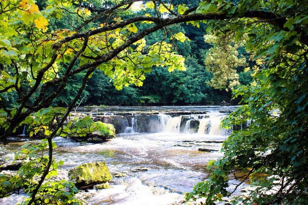 Photo scenic view of river flowing through rocks