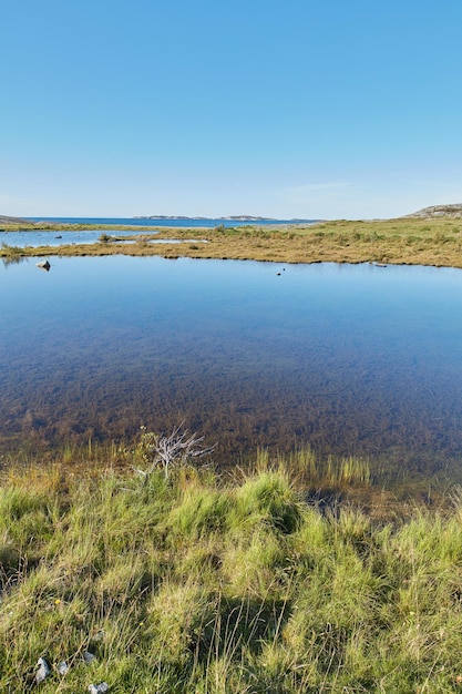 ノルウェーの沼地を流れ、海に通じる川の景色 青いコピースペースの空と湿地の風景 梅雨の後の畑に水があふれます