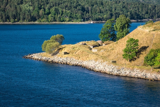 Foto vista panoramica del fiume nella foresta contro il cielo blu