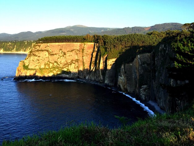 Scenic view of river in forest against clear sky