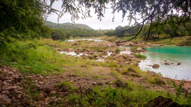 Scenic view of river in forest against sky