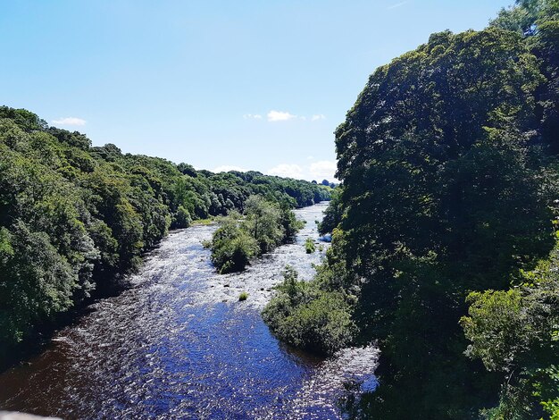 Photo scenic view of river in forest against sky