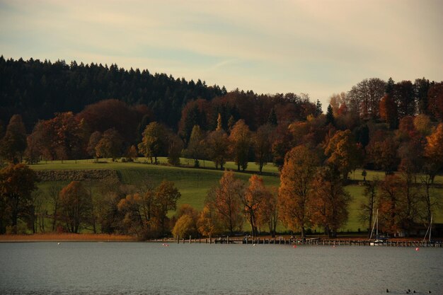 Scenic view of river in forest against sky