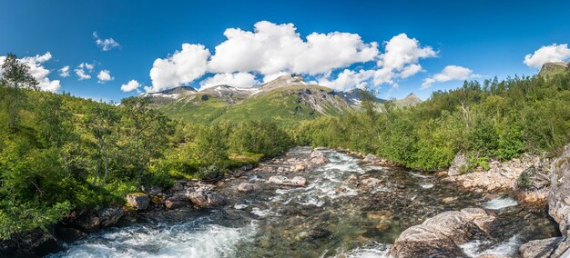 Scenic view of river in forest against sky