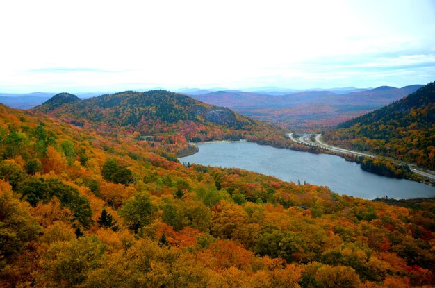 Photo scenic view of river passing through forest