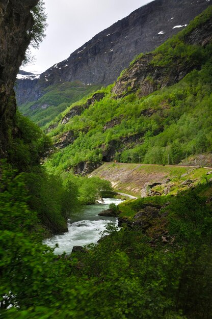 Scenic view of river stream amidst trees against sky