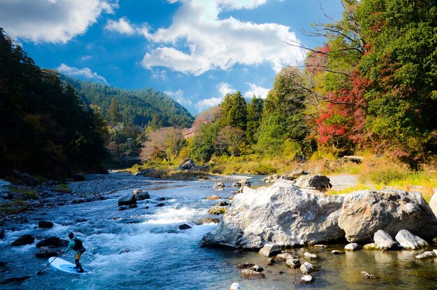 Scenic view of river stream in forest against sky