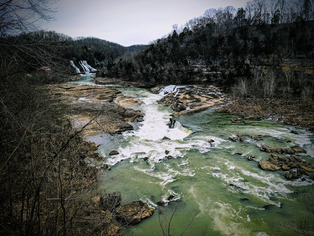 Photo scenic view of river stream in forest