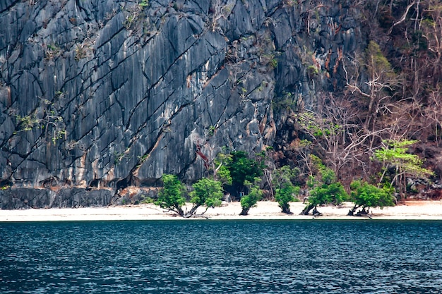 Scenic view of river with trees in background